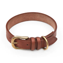Load image into Gallery viewer, Ostermayer hunting dog collar for hunting dogs