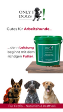 Lade das Bild in den Galerie-Viewer, Only for Dogs Trockenfutter Allrounder Lamm – Tägliche Versorgung zwischen den Hochleistungstagen
