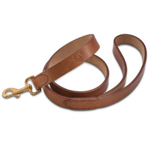 Load image into Gallery viewer, Ostermayer hunting dog leash lead
